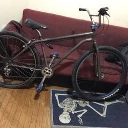 29 Gt Performer 2017