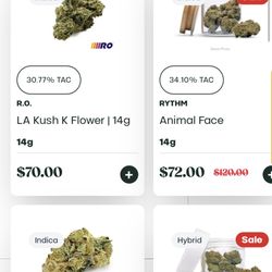 Hoover Allergen Vacuum cleaner   