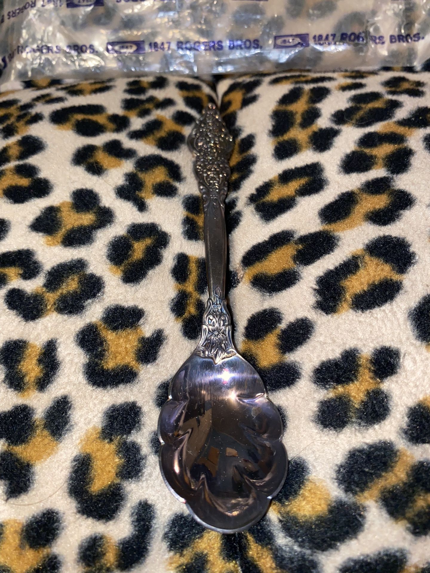 1847 Rogers Bros IS Spoon