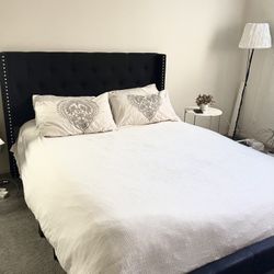 Tufted Wingback Queen Bed Frame with Nailhead Trim