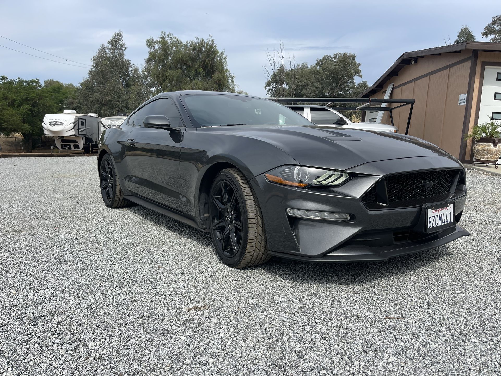 2019 Ford Mustang