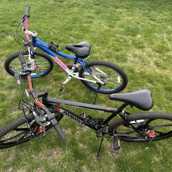 Two Bikes For The Price Of One 