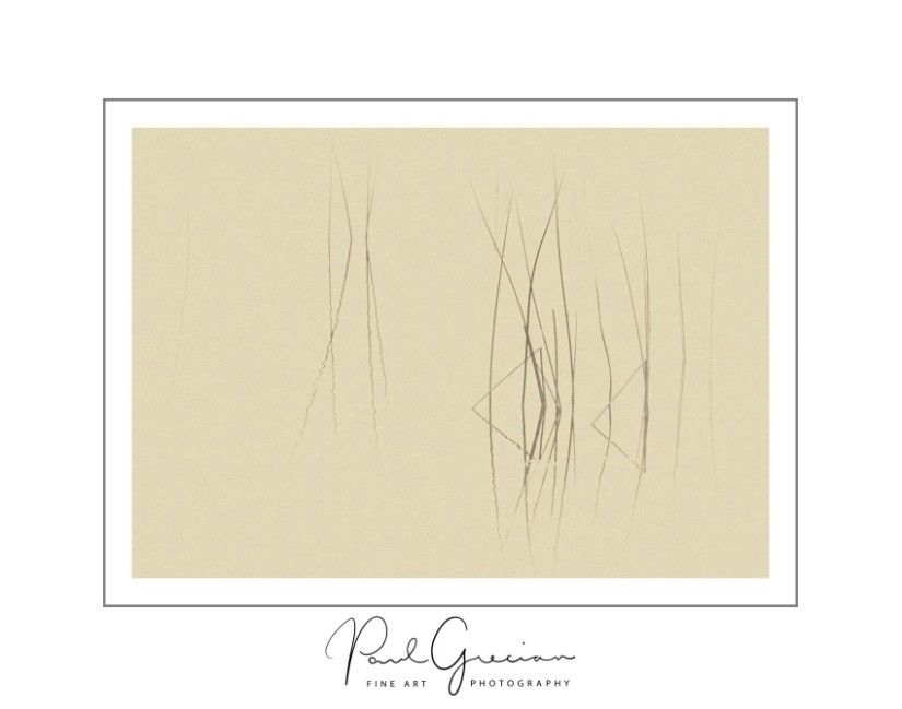 Limited Edition Wall Art Print – Modern Home Decor – $85 (Rittenhouse)

