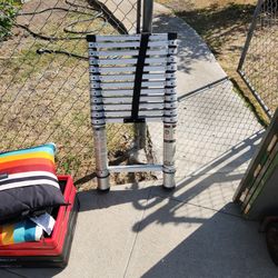Telescoping Ladder