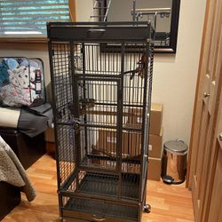 Bird Cage