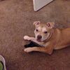 Doug