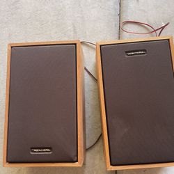 Vintage Realistic Speakers