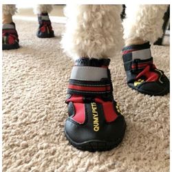 Shoes For Dog sizes 5-6-7