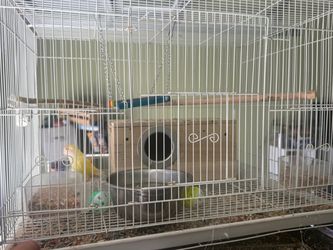 Bird cages