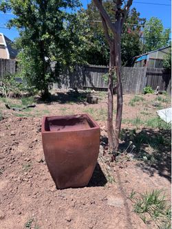 Two large plant pots