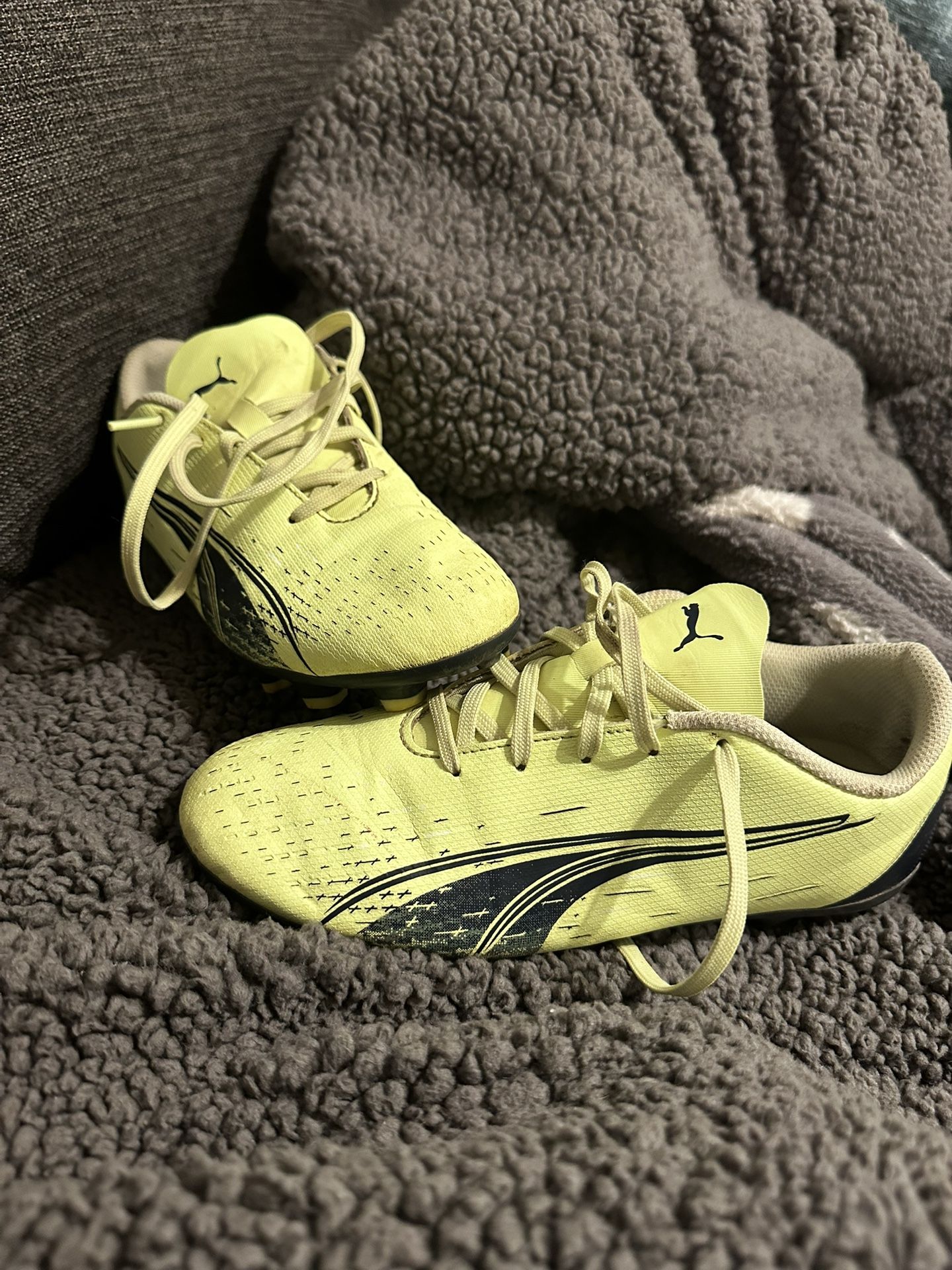 Puma Soccer Cleats