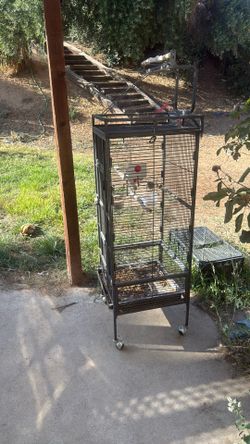 Parrot cage 80$