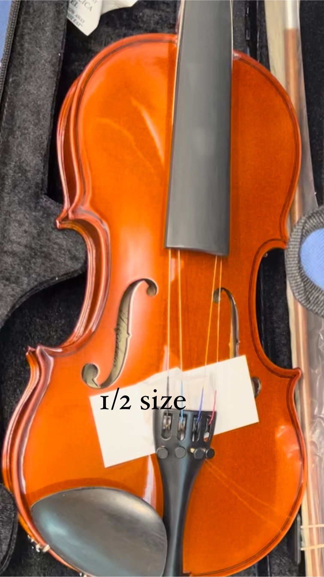 Violin 1/2 Size 