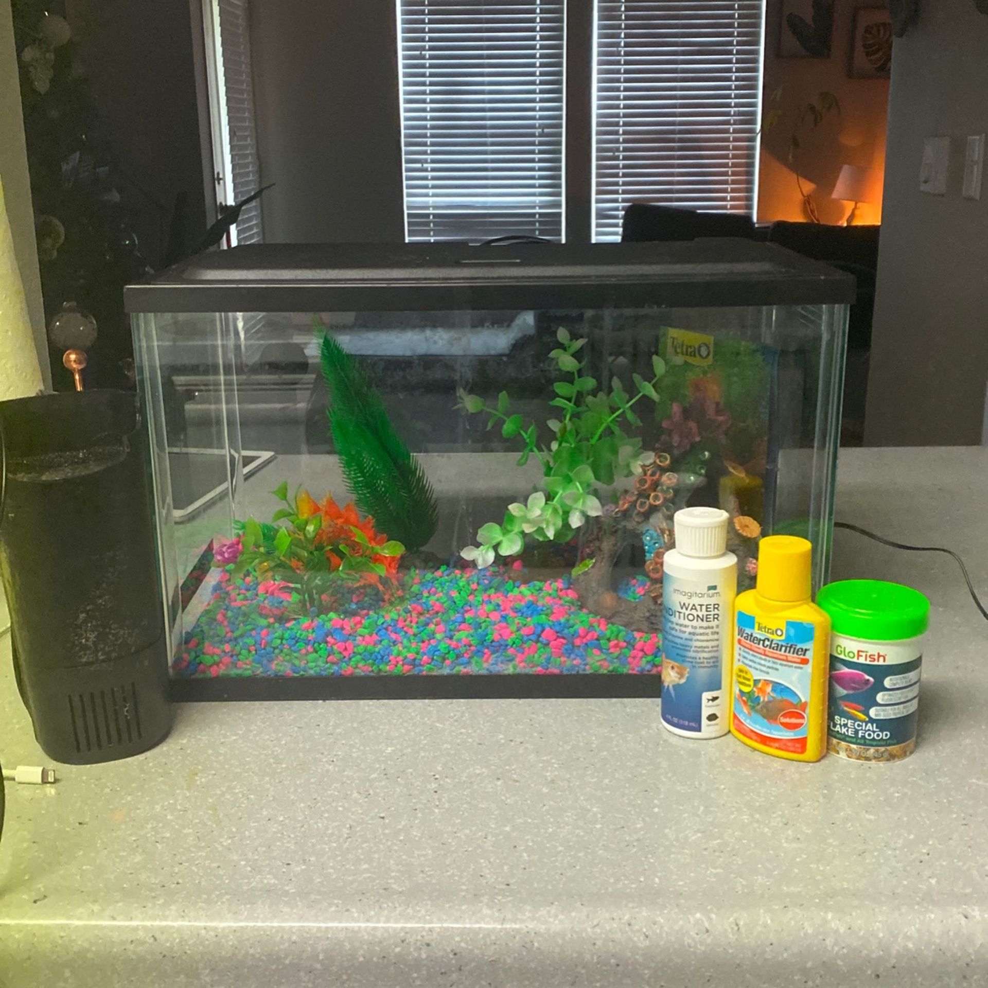 Fish Tank And Supplies
