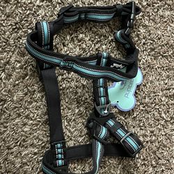 Small dog harness with adjustable straps