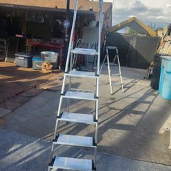 Platform Step Ladder 