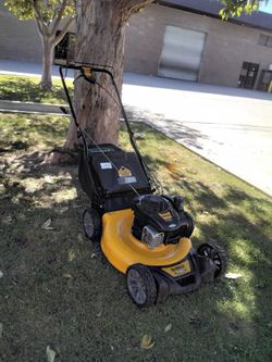 DeWalt RWD Gas-Powered Self-Propelled Lawn Mower