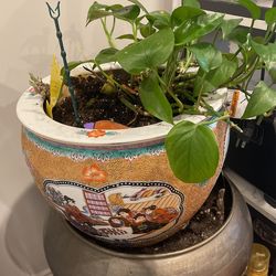 Oriental Fishpot With Plant