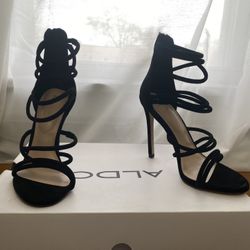 Aldo   No. 6 