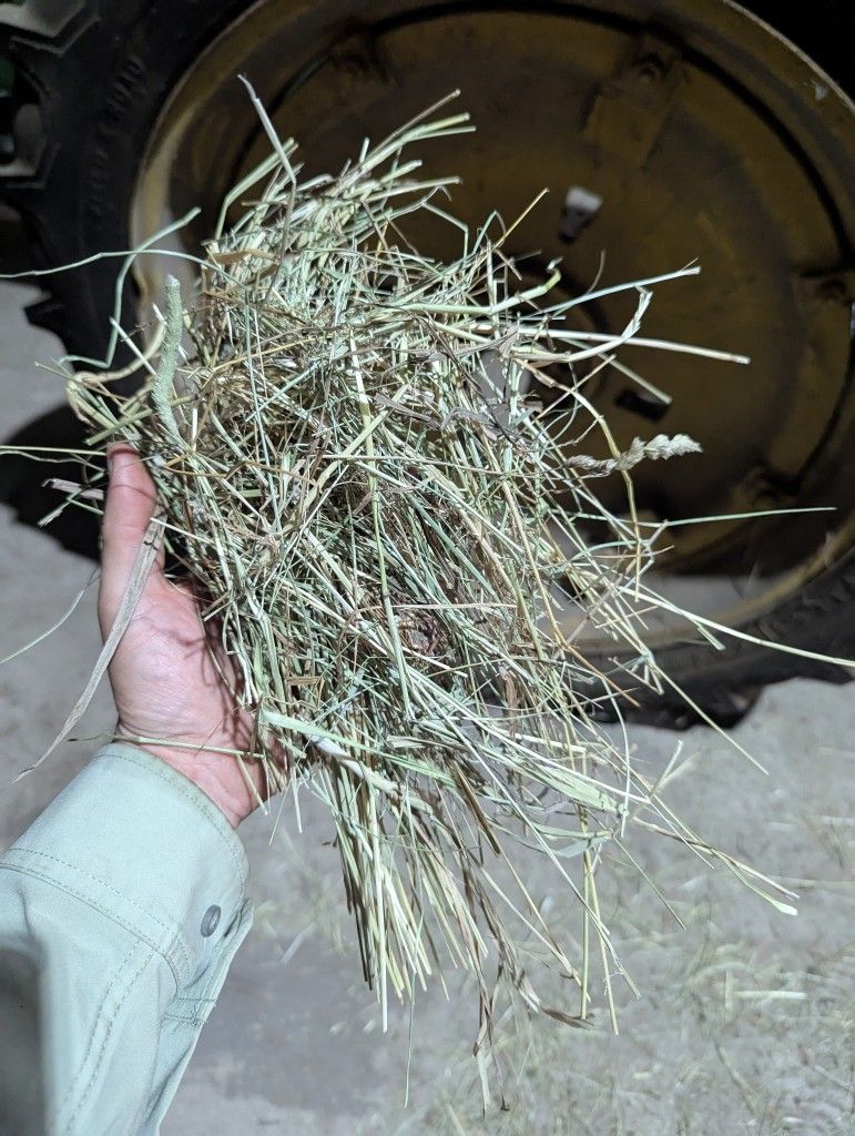 2025 First cutting Hay