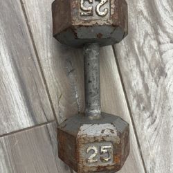25 Lb Dumbbell