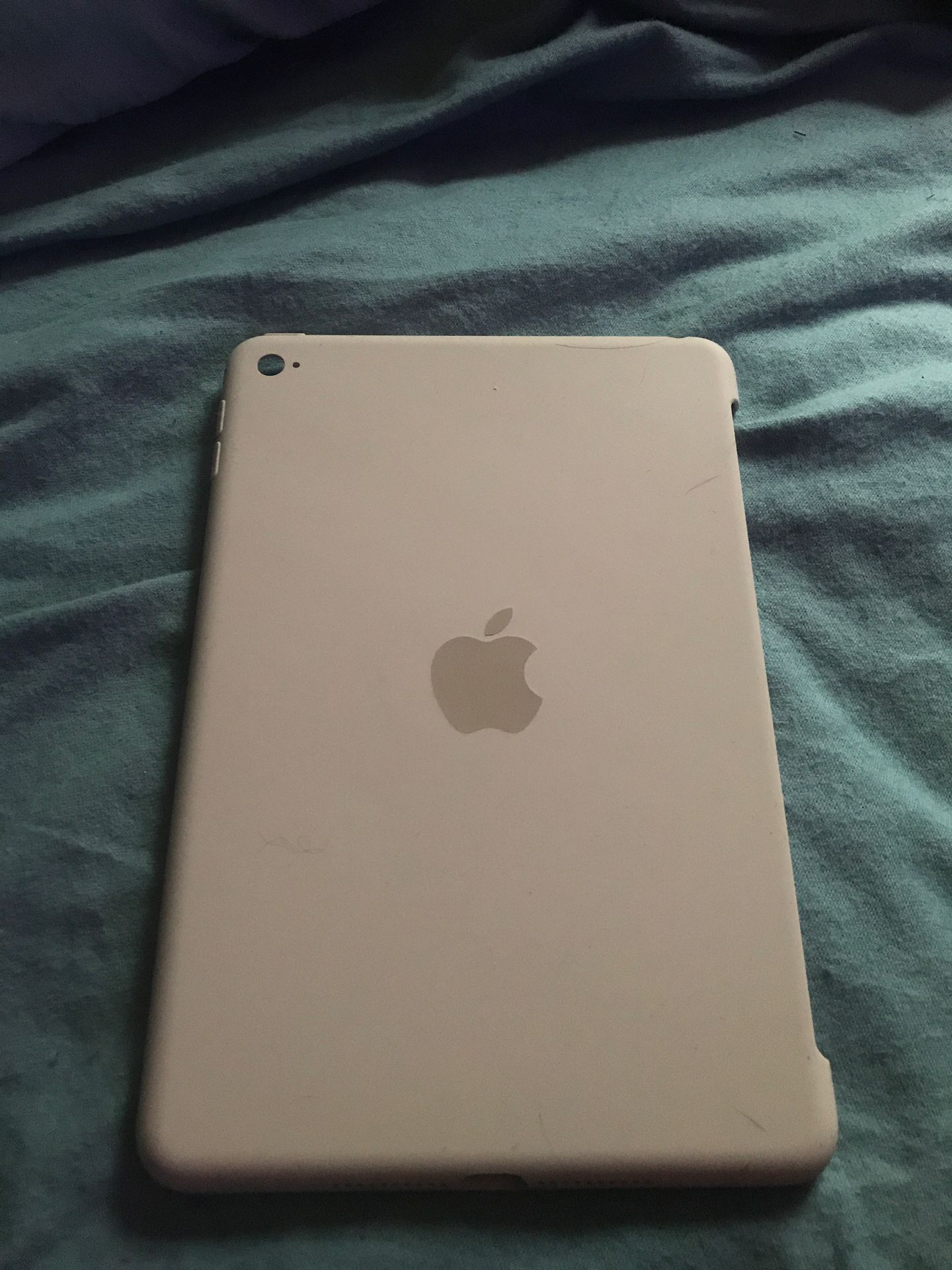 iPad mini case