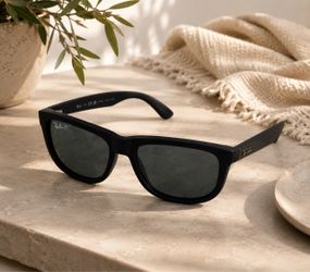 Ray-Ban Polarized Sunglasses Matte Black