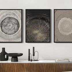 Tree Rings Wall Art Set Of 3 11x14x3 - Painted Tree Rings