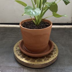 Cute Boho Plant stand 