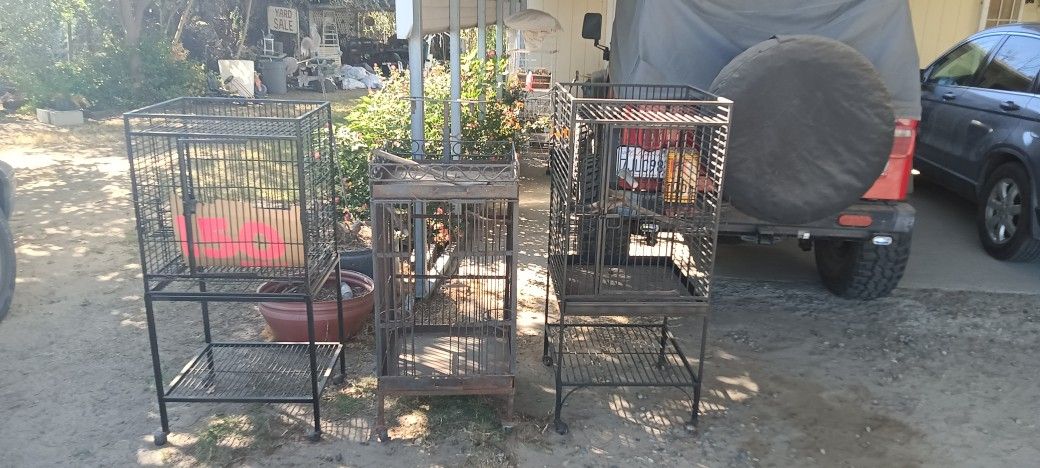 Bird Cages
