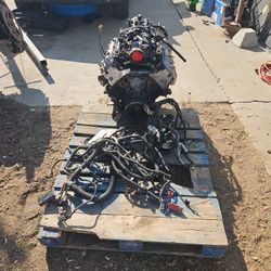 LS 5.3
