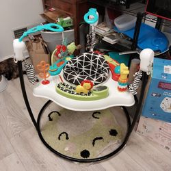 Infant to Toddler Bouncer