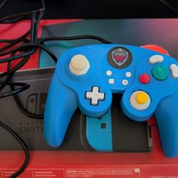 Nintendo Switch Controller 