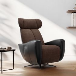 SwanSing Single-Seater Zero Gravity Swivel Power Recliner Chair with USB & Type-C Ports Zero Gravity Design: Elevates your legs above your heart to r
