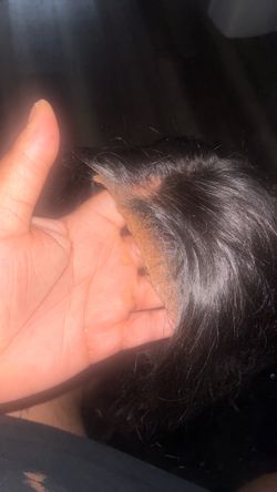Used 26” closure wig