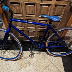 Fixie Bike