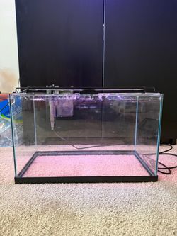 Imagitarium aquarium