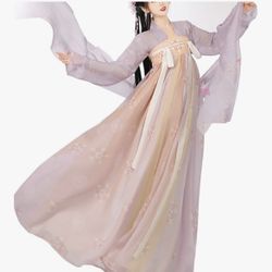 Women's Chinese Hanfu Qixiong Ruqun Sheer Top Tube Dress Outfit Tang Dynasty Traditional Costume