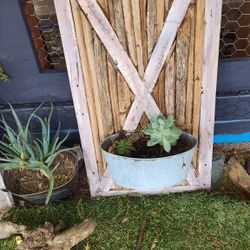 Send Me Hanging Flower Pots