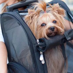 4 In 1  Small / Medium Dog Carrier 