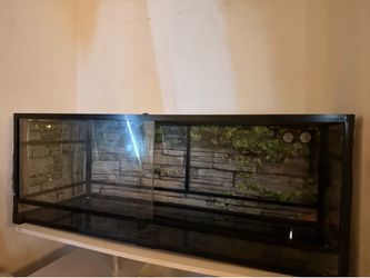 Reptile tank/accessories