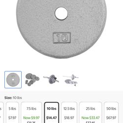 Cast Iron Weight Set 2-10lb Plates 