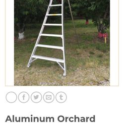 Orchard Tripod Ladder