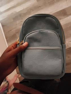 Blue purse