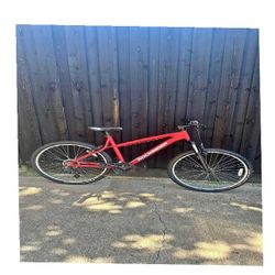 Regular Adult Bike Smooth Cycling for Everyday Needs marriage interest