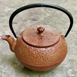 Joyce Chen Asian Collection Year of The Dragon Cast Iron Tetsubin Kettle Teapot