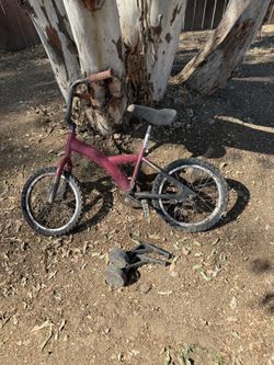 FREE BIKE