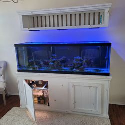 Salt Water Fish Tank With Fish & Equipment 