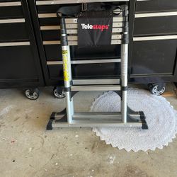 Eight Foot Telestep ladder