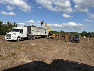 Limpieza De Terreno— land clearing